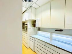 Mount Elizabeth Hospital (D9), Retail #498700211